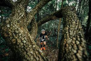 BIB: 
                            <button type="button" onclick="openModal(25392907)" class="btn btn-primary btn-sm float-right btn-popup" data-toggle="modal" data-target=".modal-high-quality">
                        <i class="fas fa-shopping-cart"></i> Add to Cart
                    </button>
                                            <button type="button" onclick="isThisMe(25392907, true)" class="btn btn-success btn-sm float-right btn-popup btn-isme hidden" data-toggle="tooltip" data-placement="bottom" title="นี่คือรูปของคุณใช่ไหม คลิกที่นี่เพื่อเอาเข้าอัลบั้ม">
                        <i class="fas fa-plus"></i> Add to album
                    </button>
                    <button type="button" onclick="isThisMe(25392907, false)" class="btn btn-warning btn-sm float-right btn-popup btn-isnotme hidden">
                        <i class="fas fa-ban"></i> Remove from album
                    </button>